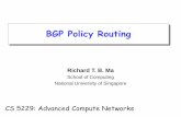 BGP Policy Routing - National University of Singaporetbma/teaching/cs5229y15_past/05_BGP... · Static routing is the most common way of connecting an autonomous routing domain to