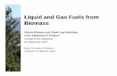 13 JenkinsLiquid and Gas Fuels from Biomass 091907 · and energy wood Gasification followed by catalytic syngas upgrading 40 + 9 methanol Range Fuels 700 tpd wheat and rice Idaho