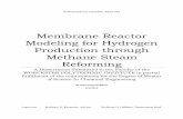 Membrane Reactor Modeling for Hydrogen Production through ... · Modeling for Hydrogen Production through Methane Steam Reforming ... Reyyan, Natalie, Alex, Mike and Susan with whom