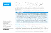 Comprehensive tissue-specific transcriptome profiling of ... · PDF file genome sequencing project that mainly focuses on crassulacean acid metabolism study (Ming etal., 2015). Currently,