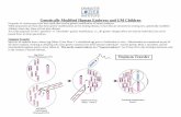 Genetically Modified Human Embryos and GM Children · 2018-07-06 · Pro-Nuclear Transfer Two single-cell embryos are created using IVF. Embryo 1 uses Mom 1’s egg (which contains
