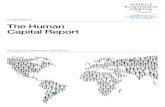 Insight Report The Human Capital Report - Mercer · MEASURING HUMAN CAPITAL The Human Capital Index is a new measure for capturing and tracking the state of human capital development