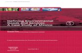 Defining Environmental Goods and Services: A Case Study of … · 2007-02-16 · i. Defining Environmental Goods and Services: A Case Study of Mexico Executive Summary By Enrique