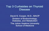 Top 3 Curbsides on Thyroid Disease · –no impact on circulating thyroid hormone levels • 552 patients in a combination therapy study were genotyped • Genotype was retrospectively
