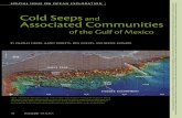 Cold Seeps - The Oceanography Society (TOS) · of the most geologically complex deep-water settings in today’s ocean. Because the Gulf is a prolific hydrocarbon-pro- ... vertical