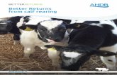 Better Returns from calf rearing...1 Introduction Successful beef production starts with a bright and healthy calf that has been well looked after from the moment it is born. It will
