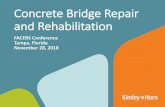 Concrete Bridge Repair and Rehabilitation · Bridge Rehabilitation • Substructure • Preventive Maintenance • Caps, Piles, Cleaning, and Impact Damage • Concrete Pile Repair