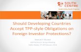 Should Developing Countries Accept TPP-style Obligations ......Should Developing Countries Accept TPP-style Obligations on Foreign Investor Protections? Manuel F Montes ... Mohamadieh