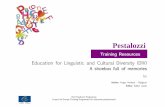 Pestalozzi - Council of Europe...Pestalozzi Training Resources their students will be able to identify changes in their local or regional environment. This kind of exercise raises