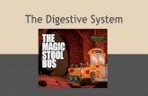 The Digestive System - Weeblythomsonmachigh.weebly.com/.../digestive_system_notes.pdfWhat is the digestive system? The digestive system is where the digestion of food and liquids occurs.