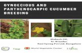 Gynoeci ous an d parthenoc arpic cucumbe r breedin gkatalyst.com.bd/Anchored_Knowledge_Products/Cucumber... · 2018-02-27 · of Gynoecious Lines in Cucumber (Cucumis Sativus L.)