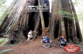 2005 Catalog, Volume 3 - Allen Marketing & Design · 2005-12-18 · Web: Email: sales@bikefriday.com 3 Th e New World Tourist is designed for the cycle tourist who wants a versatile