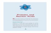 Proteins and Nucleic Acids - webdelprofesor.ula.vewebdelprofesor.ula.ve/ciencias/ricardo/PDF/Estructura_de_Proteinas... · nucleic acids that help cells replicate and build proteins.
