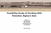 Feasibility Study of Tensleep ROZ Potential, Bighorn Bain · Feasibility Study of Tensleep ROZ Potential, Bighorn Bain Peigui Yin Shaochang Wo Glen Murrell David Mohrbacher Lon Whitman