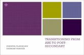 TRANSITIONING FROM ABE TO POST- DIANNA FLANAGAN … · 2008-10-08 · TRANSITIONING FROM ABE TO POST- ... HEAPS –REGULAR –WORKFORCE FOSTER CHILD WAIVER ... released nationally
