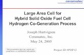 Large Area Cell for Hybrid Solid Oxide Fuel Cell Hydrogen Co-Generation Process · 2005-05-23 · Large Area Cell for Hybrid Solid Oxide Fuel Cell Hydrogen Co-Generation Process Joseph