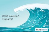 What Causes A Tsunami - Studyladder...1) Where does the name ‘tsunami’ come from? 2) Why have tsunamis been so frequent in Japanese history? 3) What causes a tsunami? 4) When and