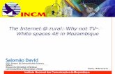 The Internet @ rural: Why not TV- White spaces 4E …wireless.ictp.it/school_2016/Slides/TVWS_Mozambique.pdfThe Internet @ rural: Why not TV-White spaces 4E in Mozambique Trieste,
