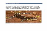 Recovery Plan for the Santa Barbara County Distinct ... CTS Final RP...Recovery Plan for the Santa Barbara County Distinct Population Segment of the California Tiger Salamander (Ambystoma