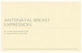ANTENATAL BREAST EXPRESSION · Despite this, the practice of recommending breast expression in late pregnancy, to provide colostrum for the immediate post birth period (in infants