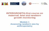 INTERGROWTH-21st course on maternal, fetal and newborn ... · •The Anthropometry Handbook used in this project describes how to perform accurate, precise and standardised anthropometric