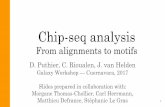 Matthieu Defrance, Stéphanie Le Gras Morgane Thomas-Chollier, …pedagogix-tagc.univ-mrs.fr/courses/ngs_galaxy/pdf_files/... · 2017-02-01 · Chip-seq analysis From alignments to