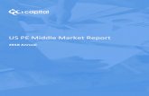 US PE Middle Market Report - Davidson Capital Advisors · 2019-04-13 · these, Casper Sleep, is VC-backed, having raised a $170.0 million Series C round in August 2017 at a ... intangible