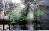 Wood structures Copyright © G G Schierle, 2001-02 press ... Systems/21-woo… · Wood structures Copyright © G G Schierle, 2001-02 press Esc to end, ↓for next, ↑for previous