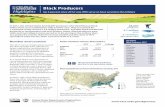 Black Producers - National Agricultural Statistics Service · when black producers operated 35,470 farms. In Texas, with more black producers than any other state, black producers
