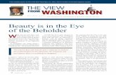 Beauty is in the Eye of the Beholder - Aircraft Electronics …aea.net/governmentaffairs/pdf/ViewFromWashingtonMay11.pdf · 2011-04-29 · avionics news • may 2011 19 Beauty is