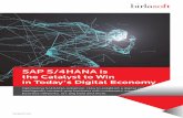 SAP S/4HANA is the Catalyst to Win in Today’s Digital Economy...New Implementation Prepare Explore HANA ToolKit-Technical Assessment-Semantical Assessment sap@birlasoft.com Birlasoft’s