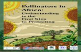 Pollinators in Africa - South African National …biodiversityadvisor.sanbi.org/.../Pollinators-in-Africa.pdf5 Introduction In recent years a decline in both wild and managed pollinators