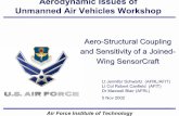 Aerodynamic Issues of Unmanned Air Vehicles Workshop · Unmanned Air Vehicles Workshop. Report Documentation Page Form Approved OMB No. 0704-0188 Public reporting burden for the collection