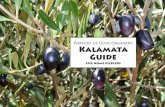 Portion 36 Olive Orchard’s Kalamata Guide Guide 2nd edition.pdfPortion 36 Olive Orchard is situated in Devonvale, Stellenbosch and consists of 1 600 trees of 8 different cultivars.