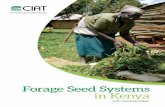 Forage Seed Systems in Kenya - COnnecting REpositories · 2017-12-18 · (dual-purpose sorghum). Freshco Company deals with maize seeds primarily, while Lucerne is the only forage