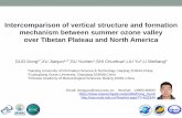 Intercomparison of vertical structure and formation ......Intercomparison of vertical structure and formation mechanism between summer ozone valley over Tibetan Plateau and North America