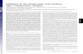 Inhibition of the fungal fatty acid synthase type I multienzyme … · the fatty acid synthase complexes of vertebrates and fungi are strikingly different. In mammals, the FAS type