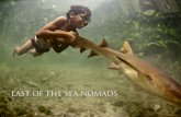 LAST OF THE SEA NOMADS - Indojunkie · 2017-11-17 · LAST OF THE SEA NOMADS: INDONESIA’S BAJAU LAUT words by Johnny Langenheim pictures by James Morgan Diana Botutihe was born