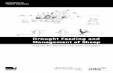 Drought Feeding and Management of Sheep...Drought Feeding and Management of Sheep 1 Acknowledgments The following organisations are thanked for their financial contribution to this
