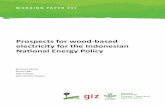 Prospects for wood-based electricity for the …Working Paper 231 Prospects for wood-based electricity for the Indonesian National Energy Policy Romain Pirard Consultant Simon Bär