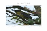 South East Brazil 18th 27th January 2018 - Serra dos Tucanosserradostucanos.com.br/.../uploads/2018/02/...2018.pdf · Raptor Viewpoint finally nailed Mantled Hawk. Afternoon spent