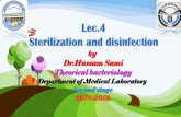 Lec.4 Sterilization and disinfectionkti.mtu.edu.iq/lectures/analys/hussam/lec.4...METHODS OF STERILIZATION AND DISINFECTION sterilization and, wherever possible, should be methods