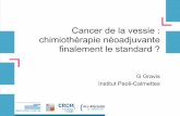 Cancer de la vessie : chimiothérapie néoadjuvante finalement le …cfom2016.com/files/126/COMM/VENDREDI/11h40-gravis.pdf · 2016-11-24 · ASCO® GU 2015 - D’après Siefker-Radtke