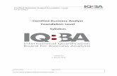 Certified Business Analyst Foundation Level SyllabusBusiness Analyst working at the organization level is typically responsible for collecting insights and business needs and/or opportunities