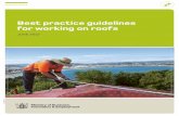 Best practice guidelines for working on roofs · 2015-10-16 · Acknowledgement This Best Practice Guidelines for Working on Roofs is published by the Ministry of Business, Innovation