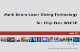 Multi Beam Laser Dicing Technology for Chip Free WLCSP · Multi Beam Laser Dicing Technology for Chip Free WLCSP Peter Dijkstra Director Sales, Service & Marketing ... Type LG + Blade