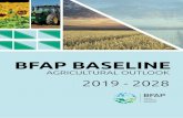 BFAP BASELINE · BFAP Baseline | 2019 - 2028 Context and Purpose of the Baseline The 2019 edition of the BFAP South African Baseline presents an outlook of agricultural production,