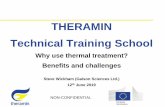 THERAMIN Technical Training School...Alignment of technologies and waste types ... Incineration with burner and refractory walls JÜV 50/2 - Jülich JEN Germany KTE incinerator Germany