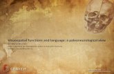 Visuospatial functions and language: a paleoneurological ... Visuospatial functions and language: a paleoneurological view Emiliano Bruner Centro Nacional de Investigación sobre la