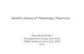 Genetic bases of Phenotypic Plasticityvorgogoz/courses/M1-course-G-P/2018... · 2018-11-21 · ‘polyphenism’ is here proposed for it. Polyphenism is discontinuous when definite